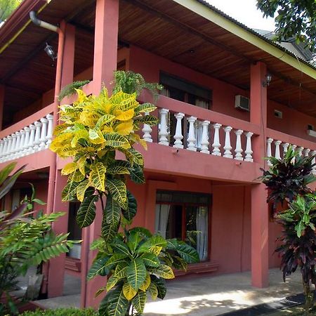 Cabinas Paraiso Pez Vela Кепос Экстерьер фото